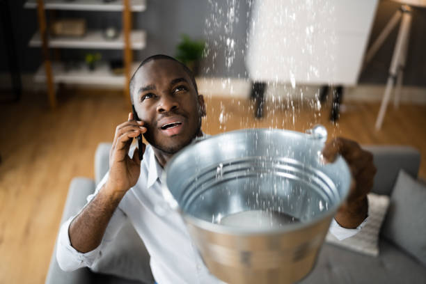 Best Flood damage cleanup  in Wellston, MO