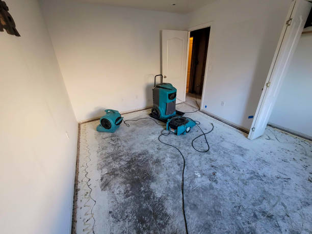 Best 24-hour water damage restoration  in Wellston, MO