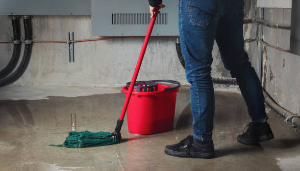 Best Flooded house restoration  in Wellston, MO