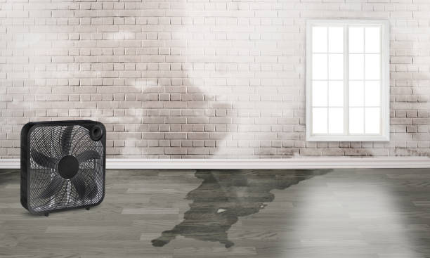 , MO Water damage restoration Company