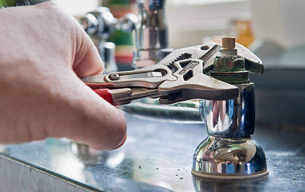 Best Mold removal after water damage  in Wellston, MO