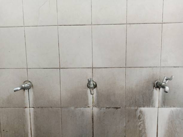 Best Flood damage cleanup  in Wellston, MO