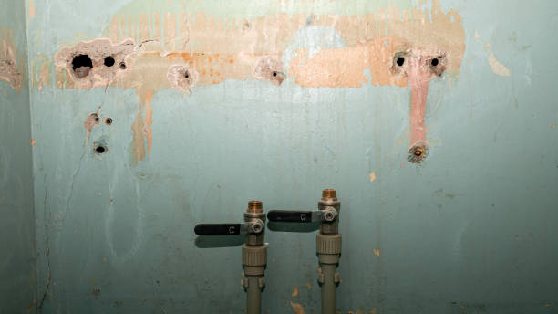 Best Ceiling water damage repair  in Wellston, MO