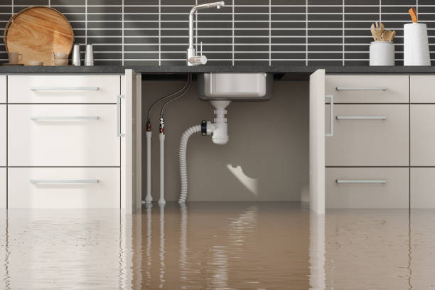 Best Sewage cleanup and water damage restoration  in Wellston, MO