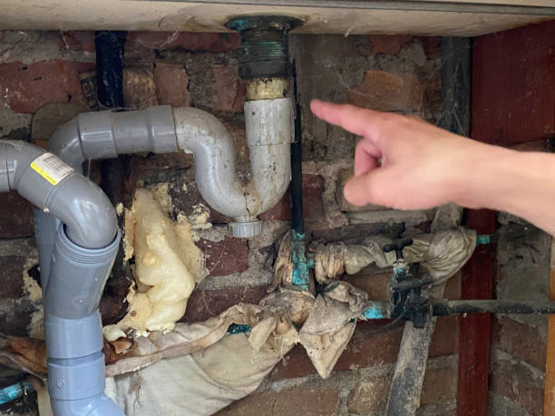 Best Professional water damage repair  in Wellston, MO