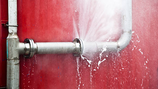 Best Water damage restoration near me  in Wellston, MO